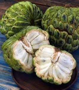 "चिता" फल Custard apple/sugar apple